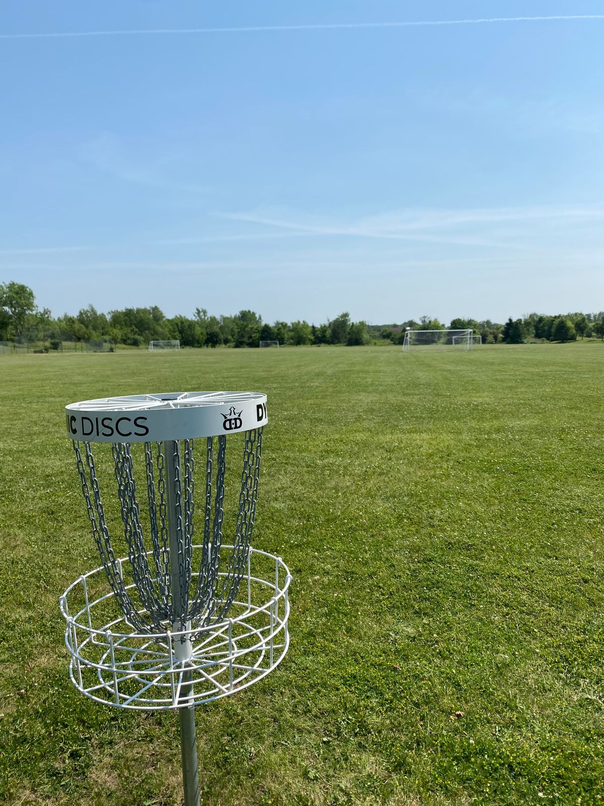 Basket 4 tee