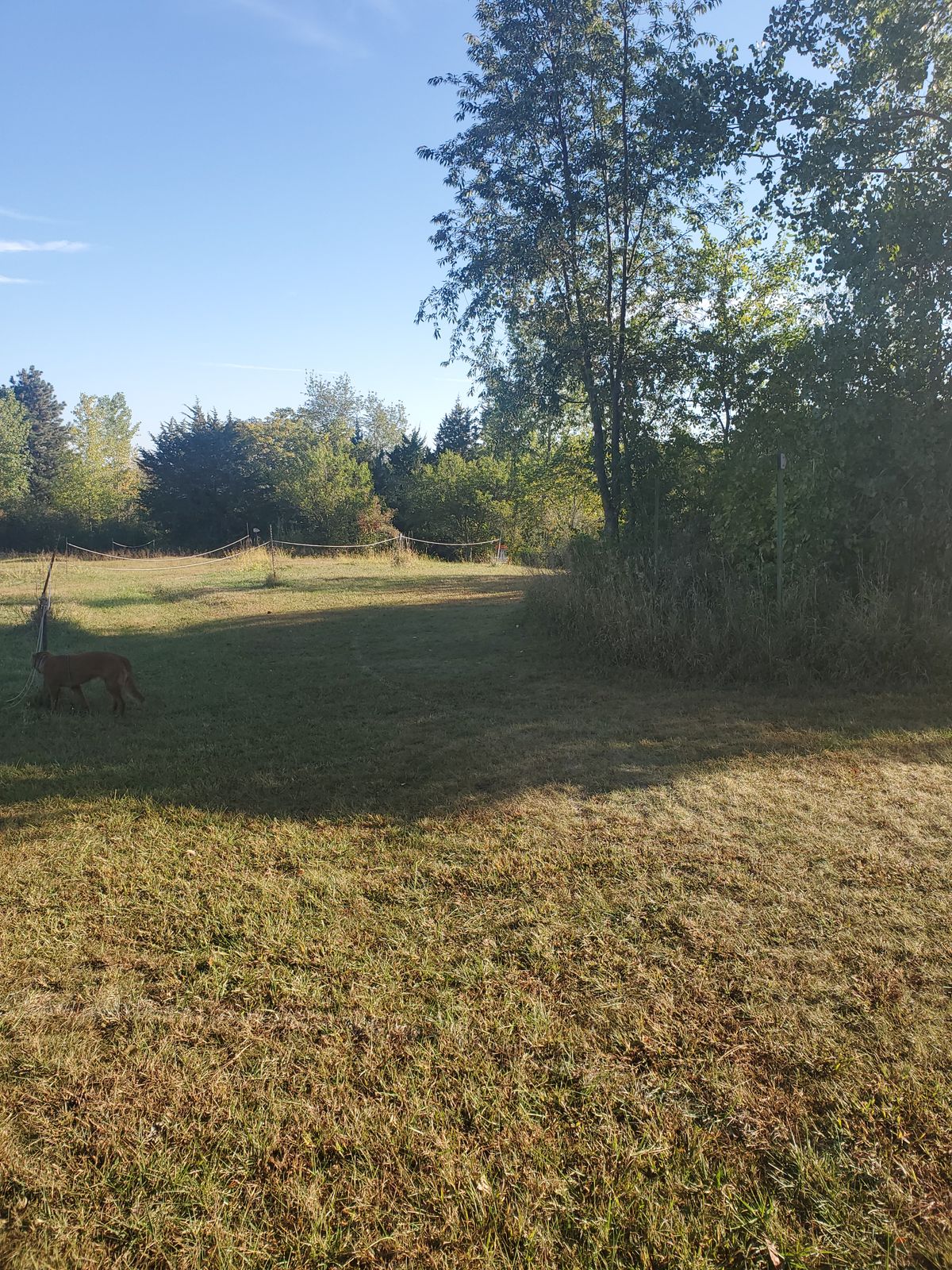 Hole 7 long