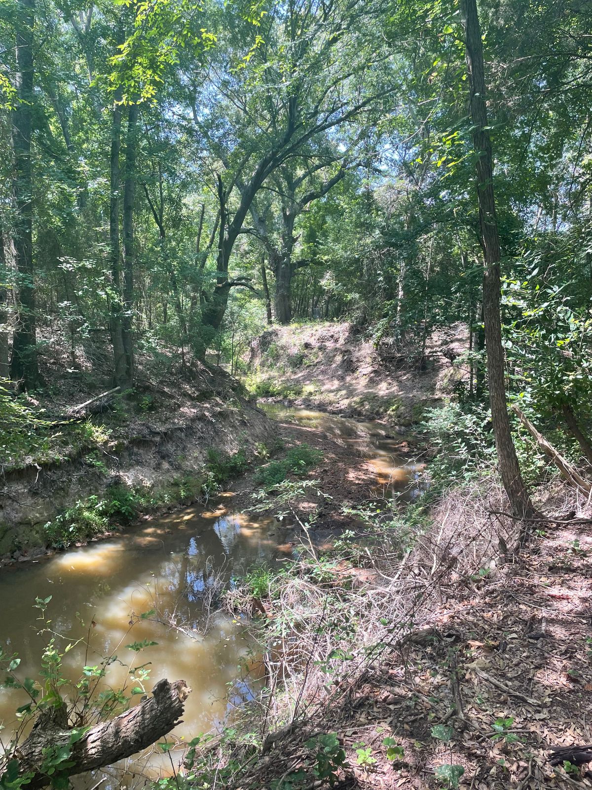 Creek Shot