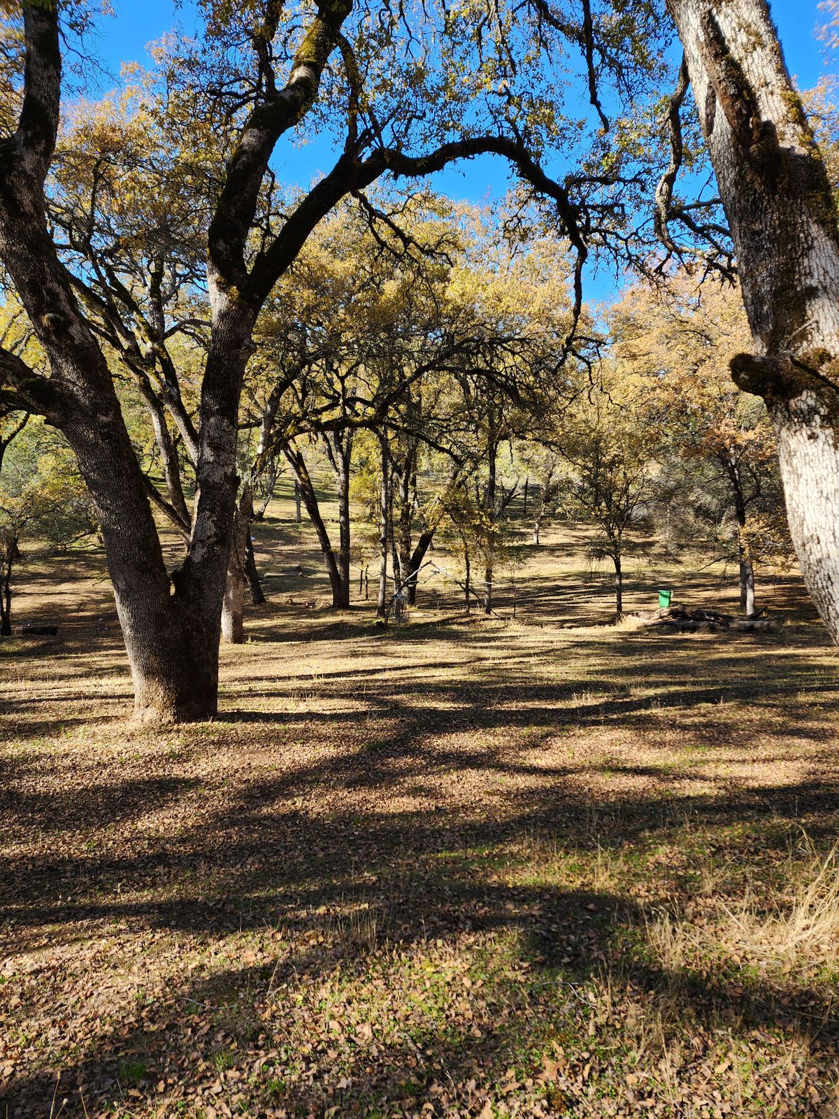 Hole 5 Fairway/Green