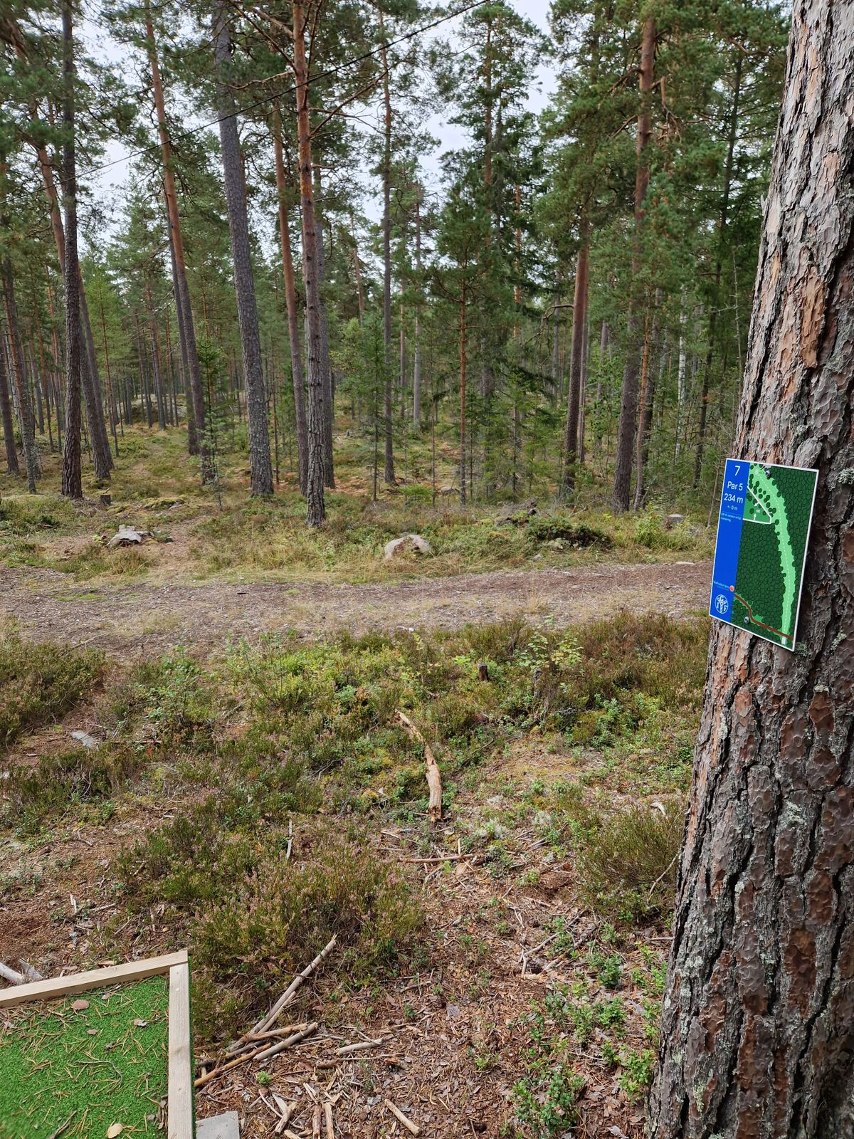Hål 7