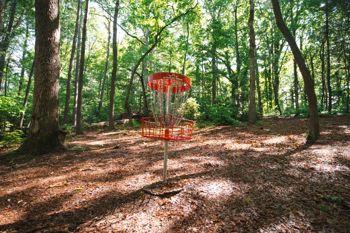 Hole 7 basket