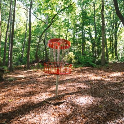 Hole 7 basket