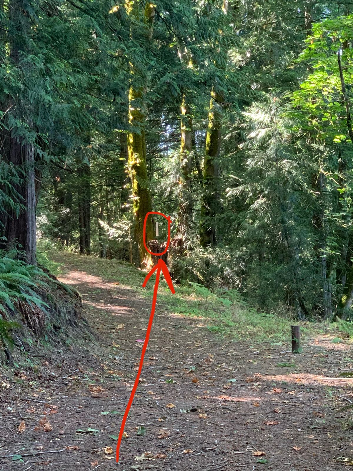 Hole 15, Part 2: Breakaway
