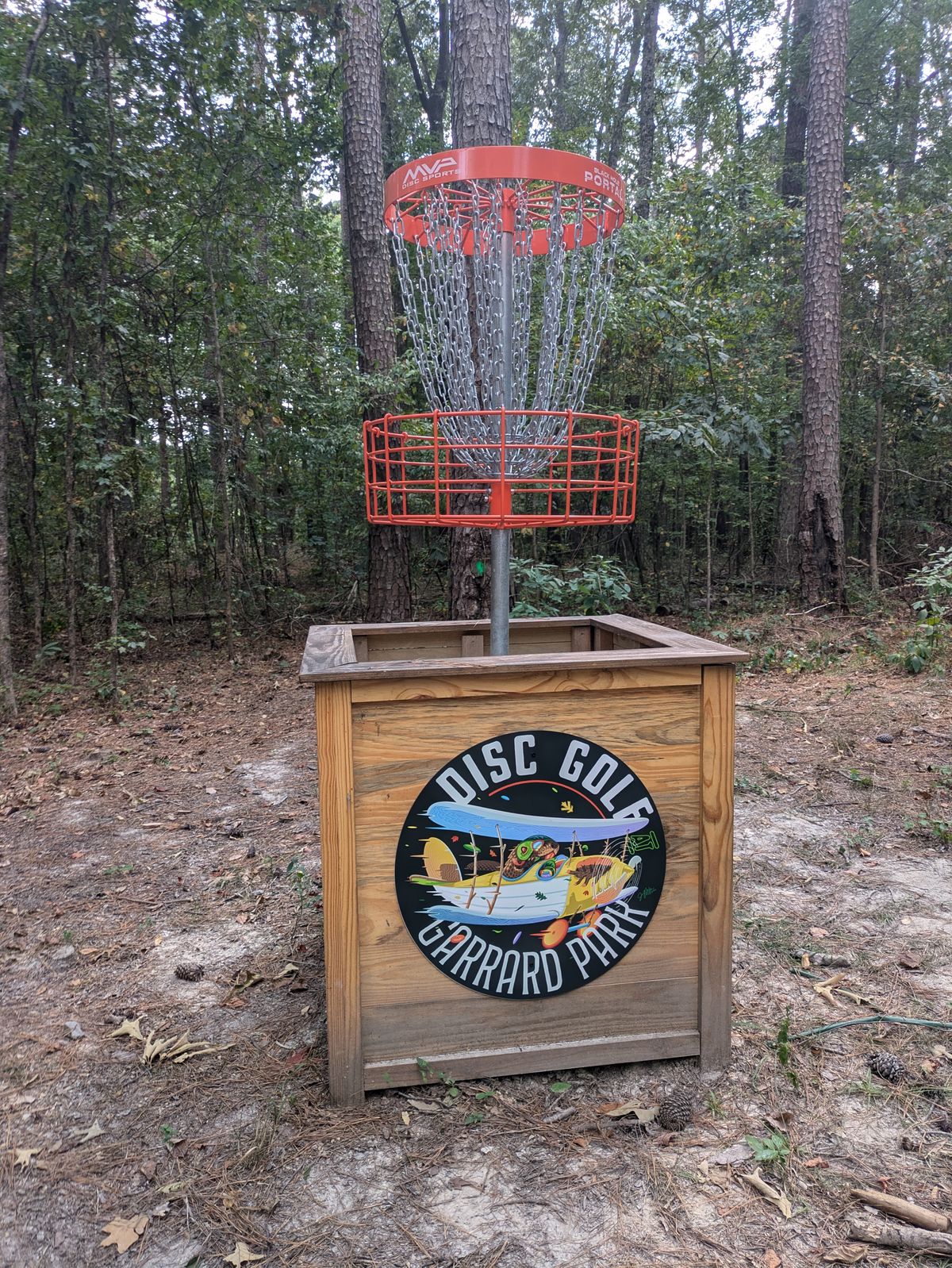 Hole 6 Basket