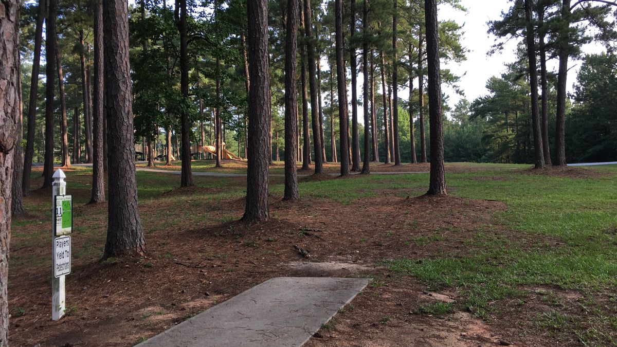 Hole 11