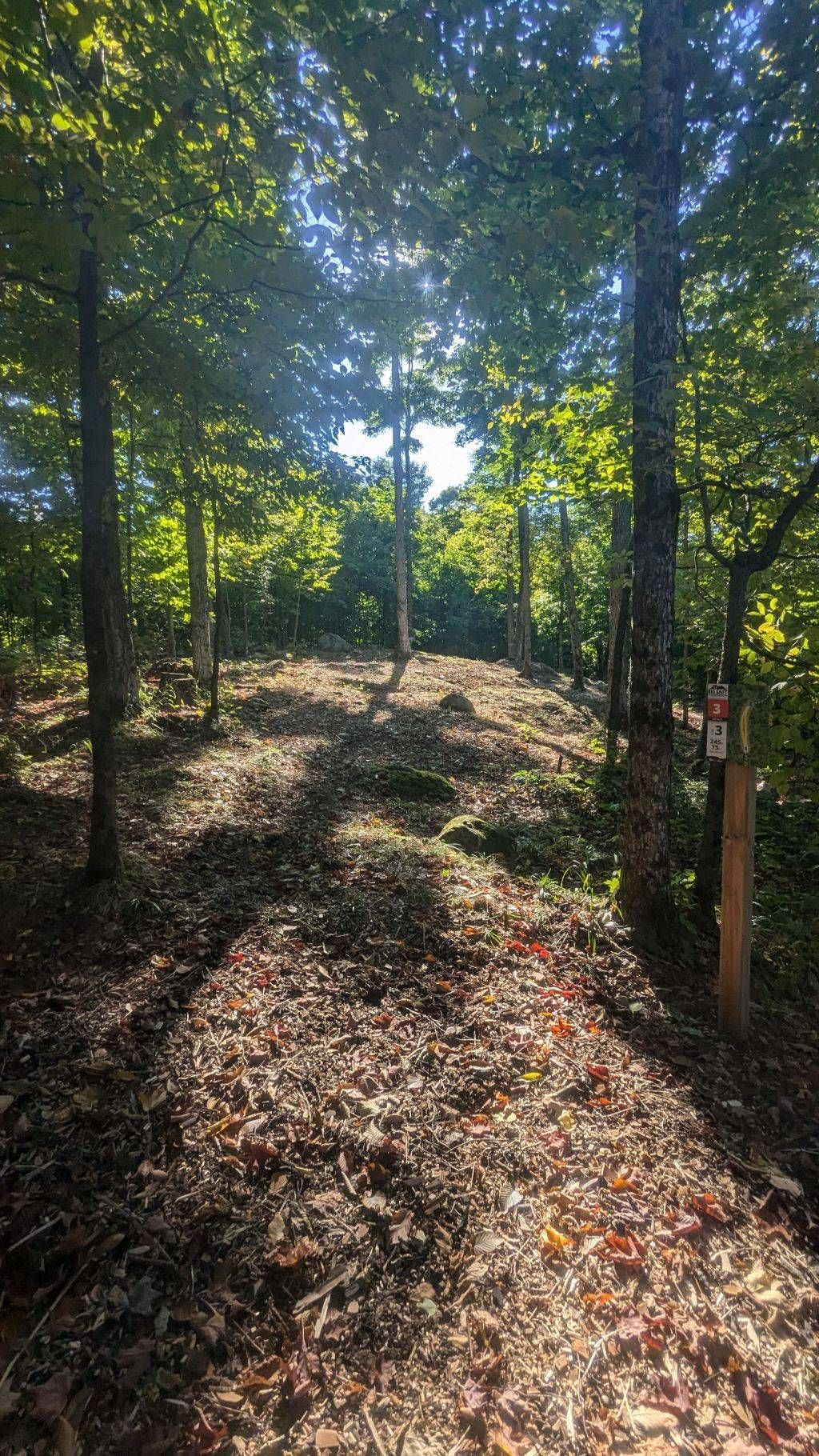 Hole 3 Tee