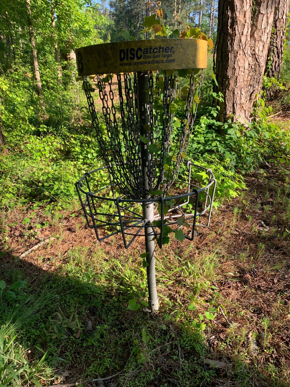 Overgrowth on baskets