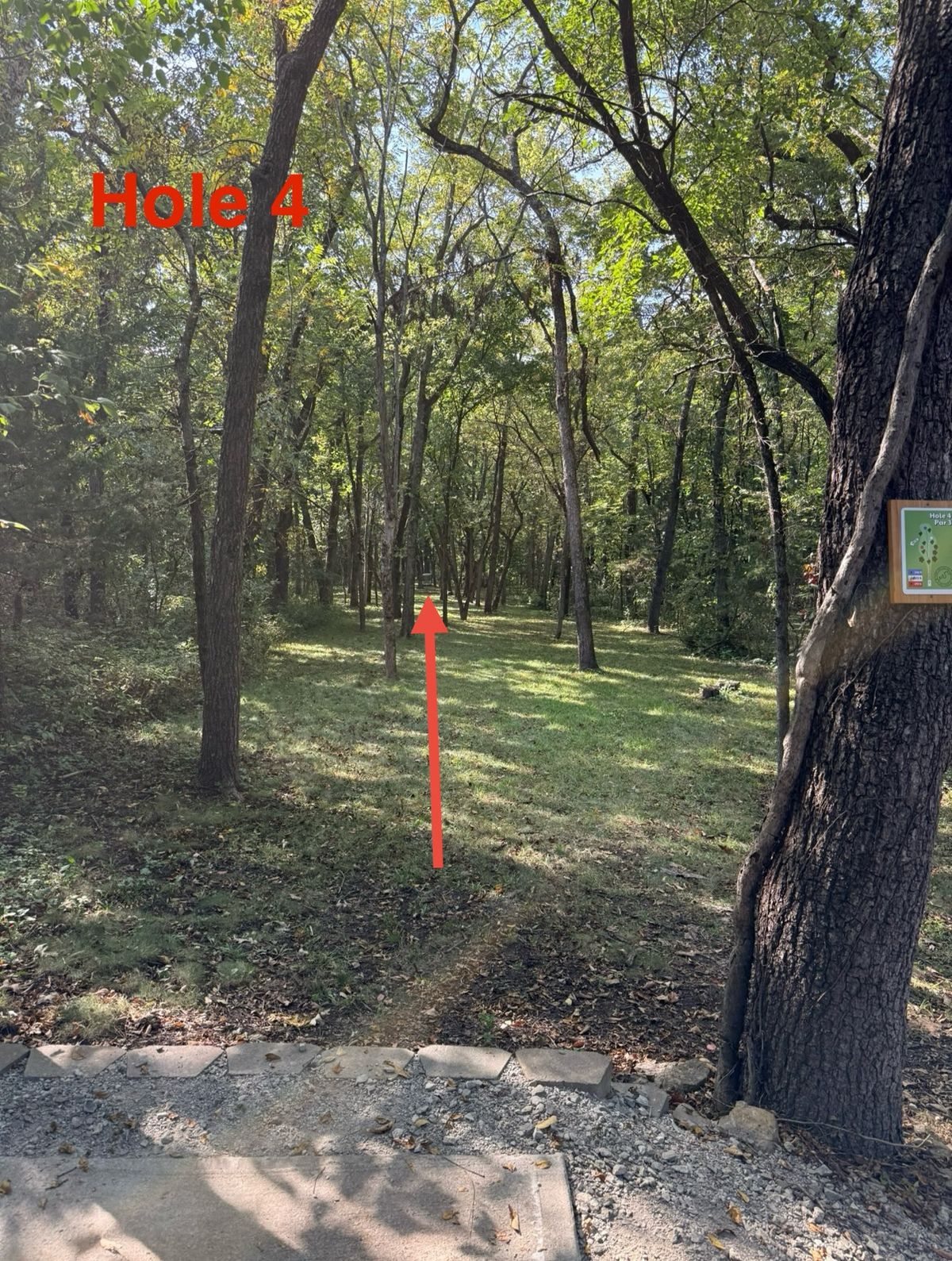 Hole 4 tight gap flex line with guardian treeline