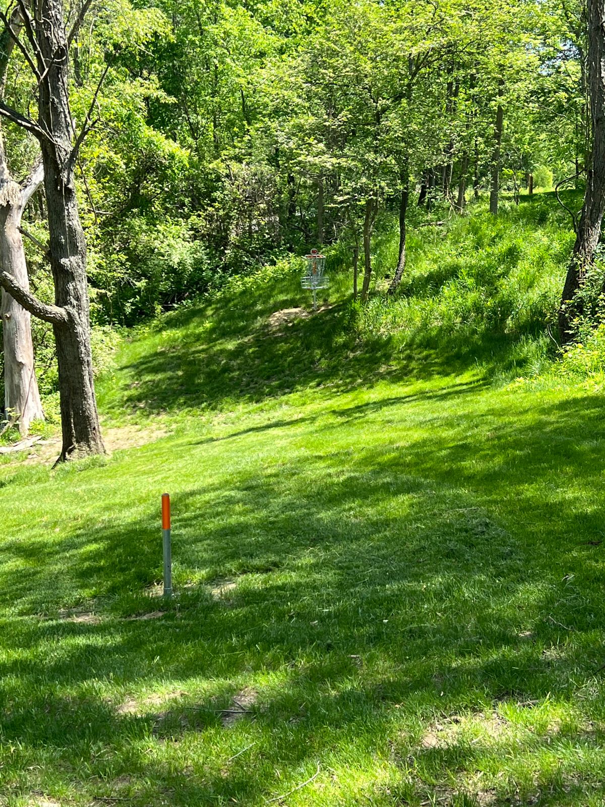 #10 A basket approach shot