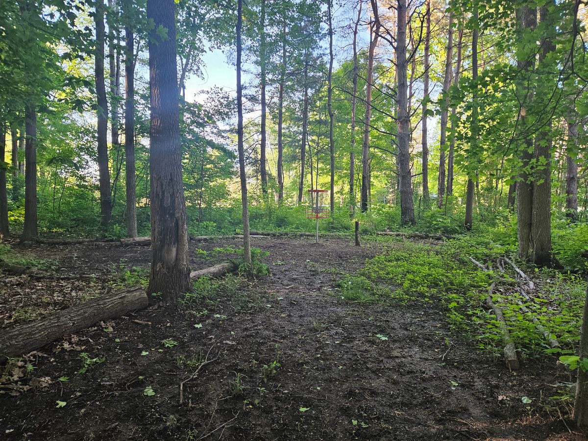 Hole 4 Basket in the "B" position, Spring 2024