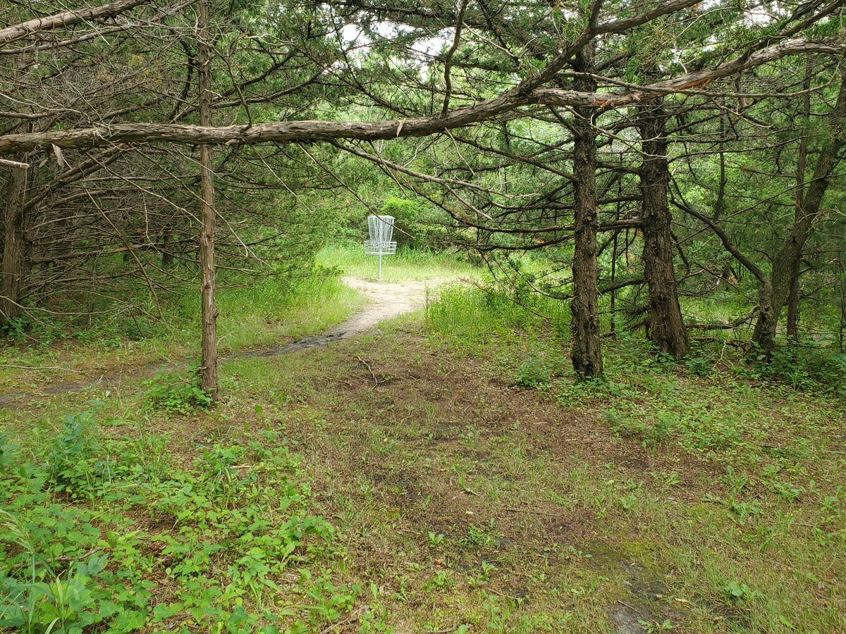 Hole 17. Basket view from the end of the path.