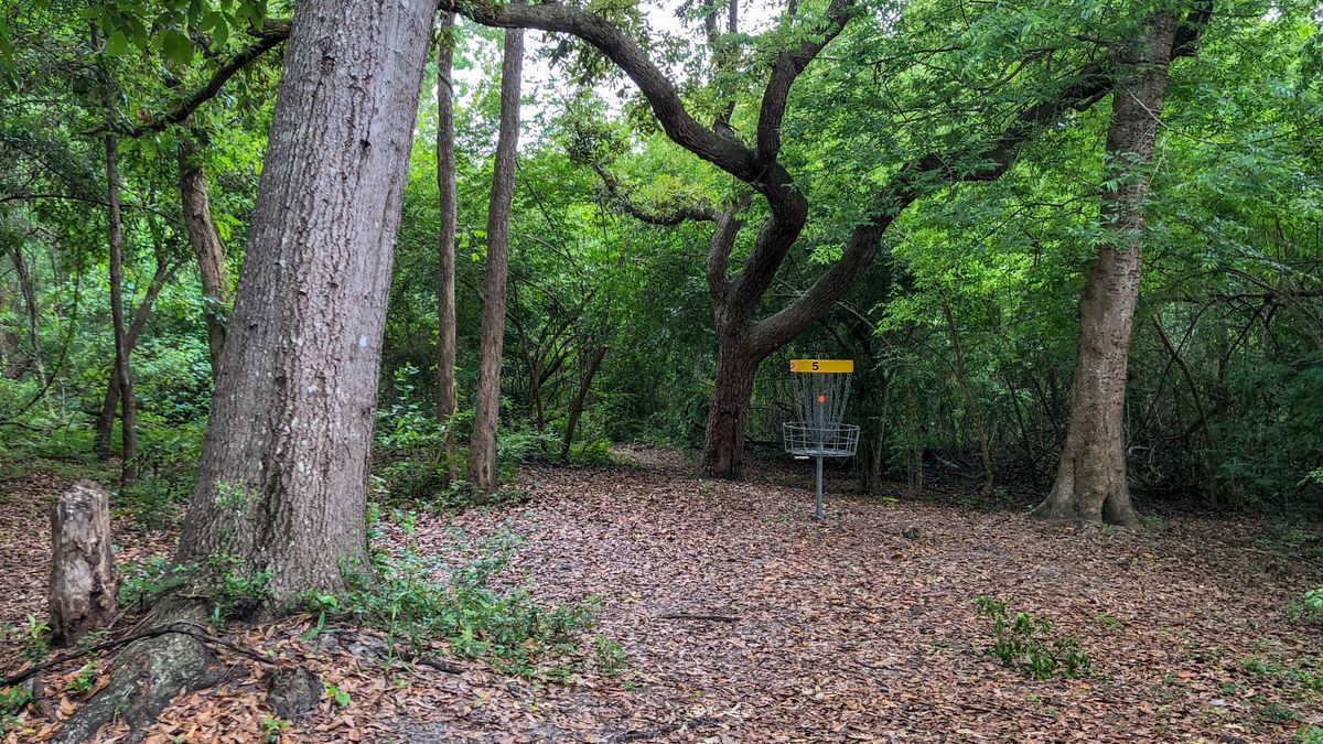 Hole 5