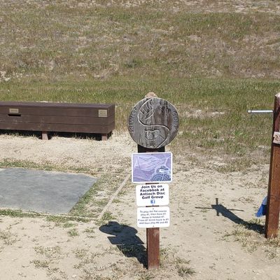 Lost & Found Bench