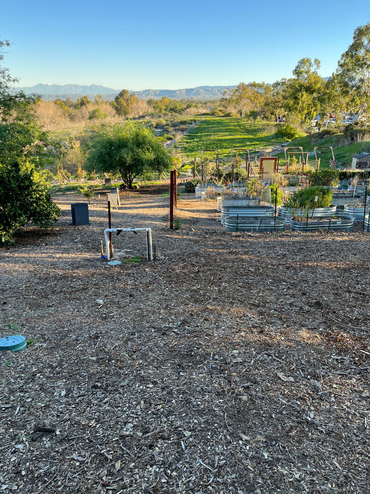 Hole 13 downhill over gardens for about 240 feet.