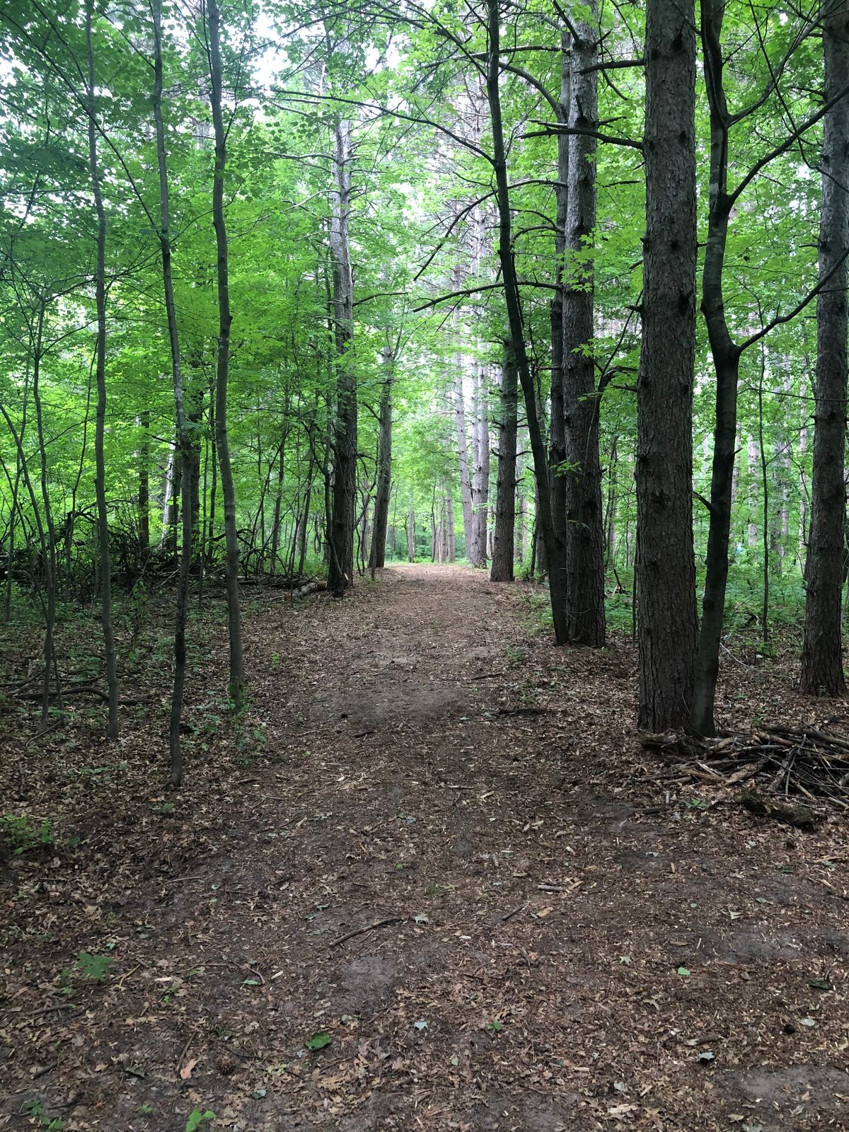 Hole 13 fairway from teepad