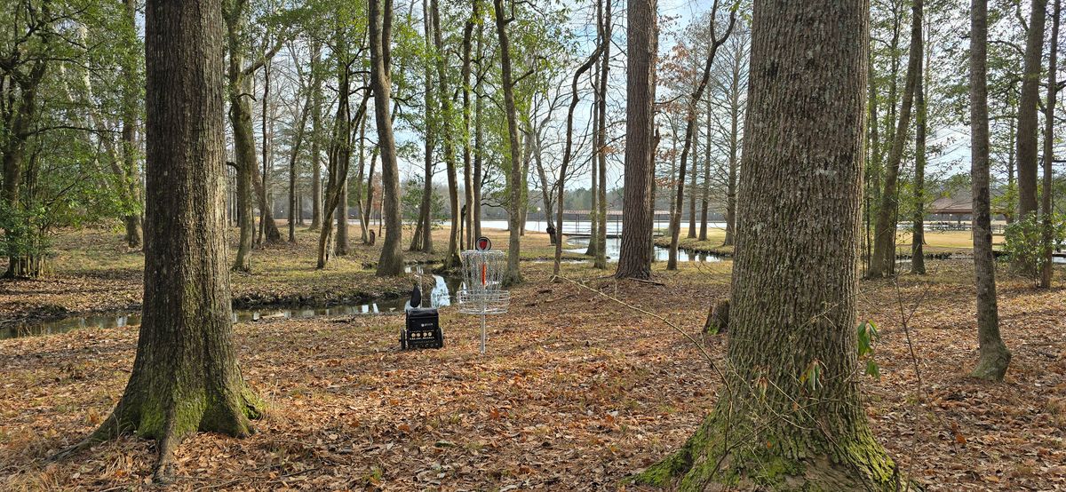 Hole 8 basket location