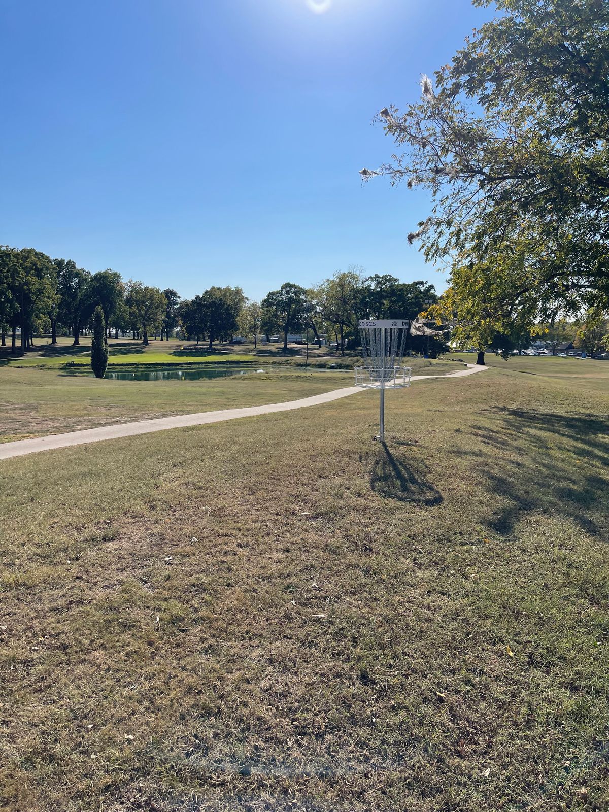 Hole 6’s basket