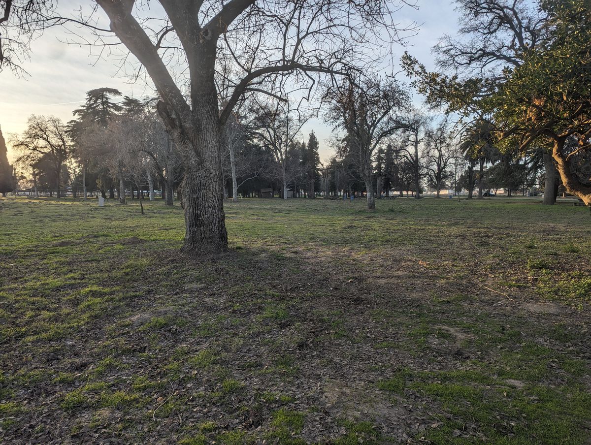 Hole 7 tee pad