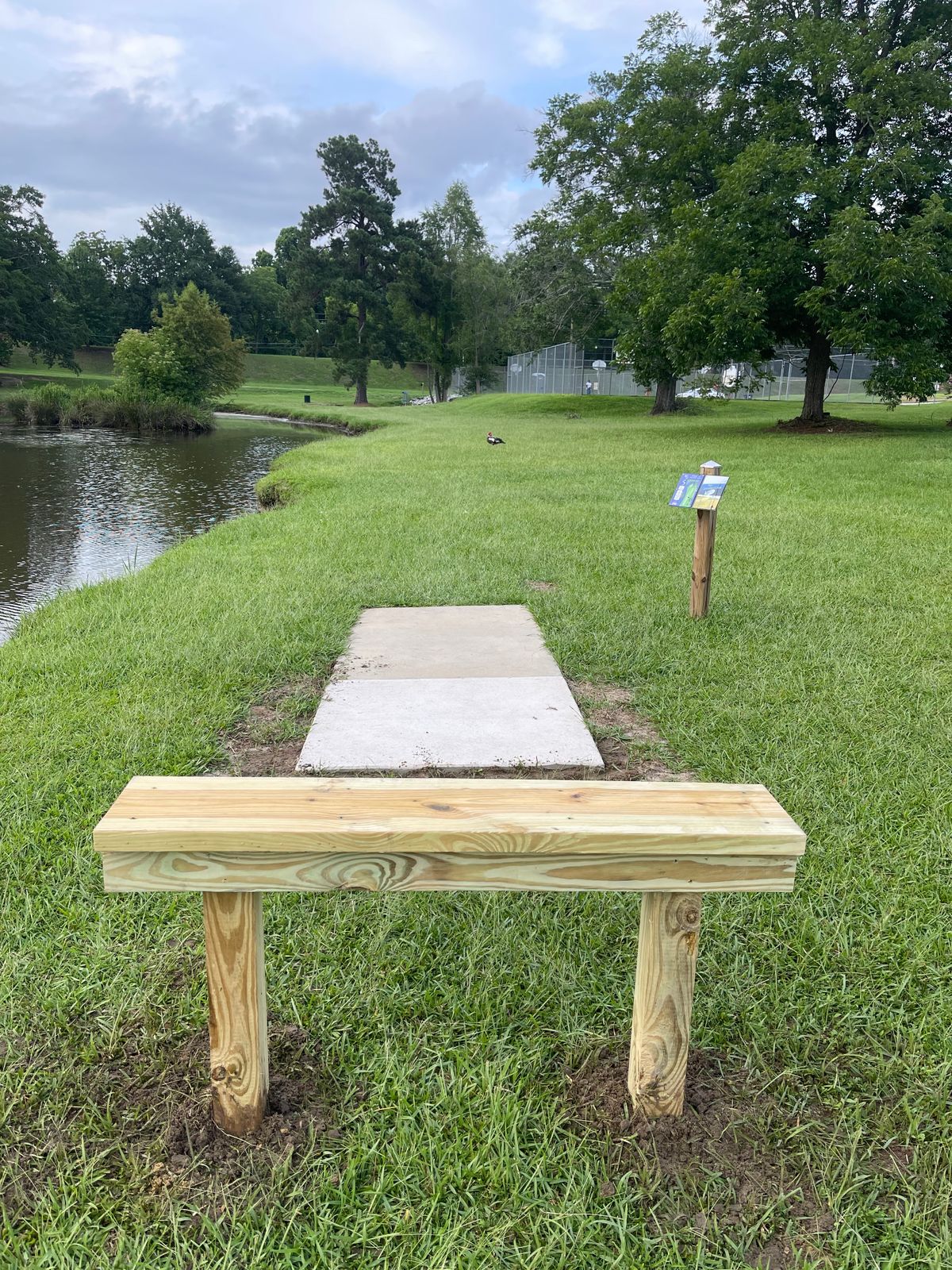 Hole 5