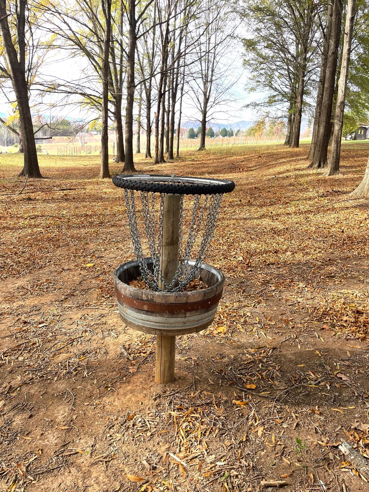 Hole 3 almost aced