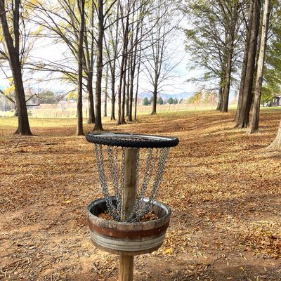 Hole 3 almost aced