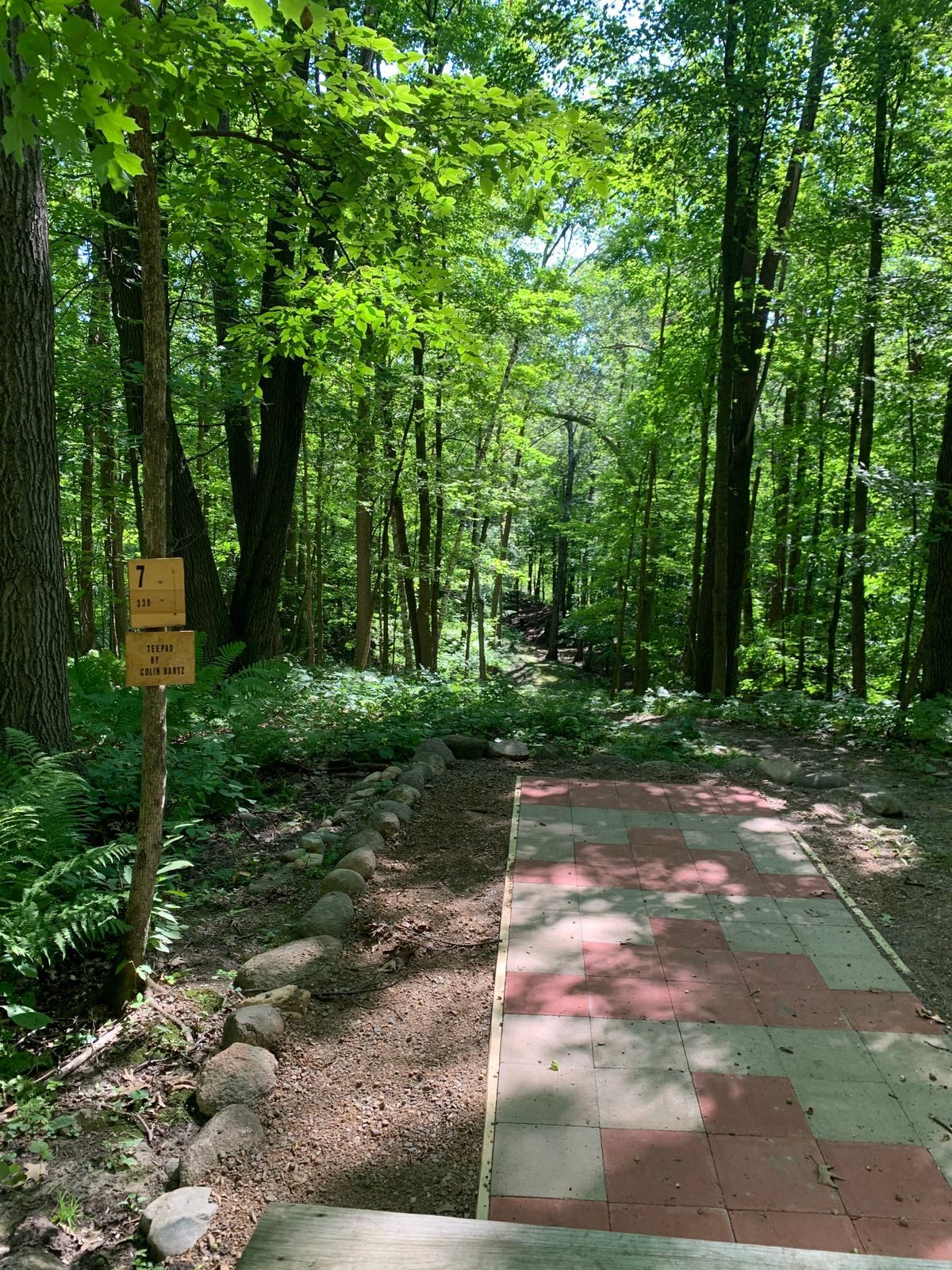Hole 7 - tight downhill