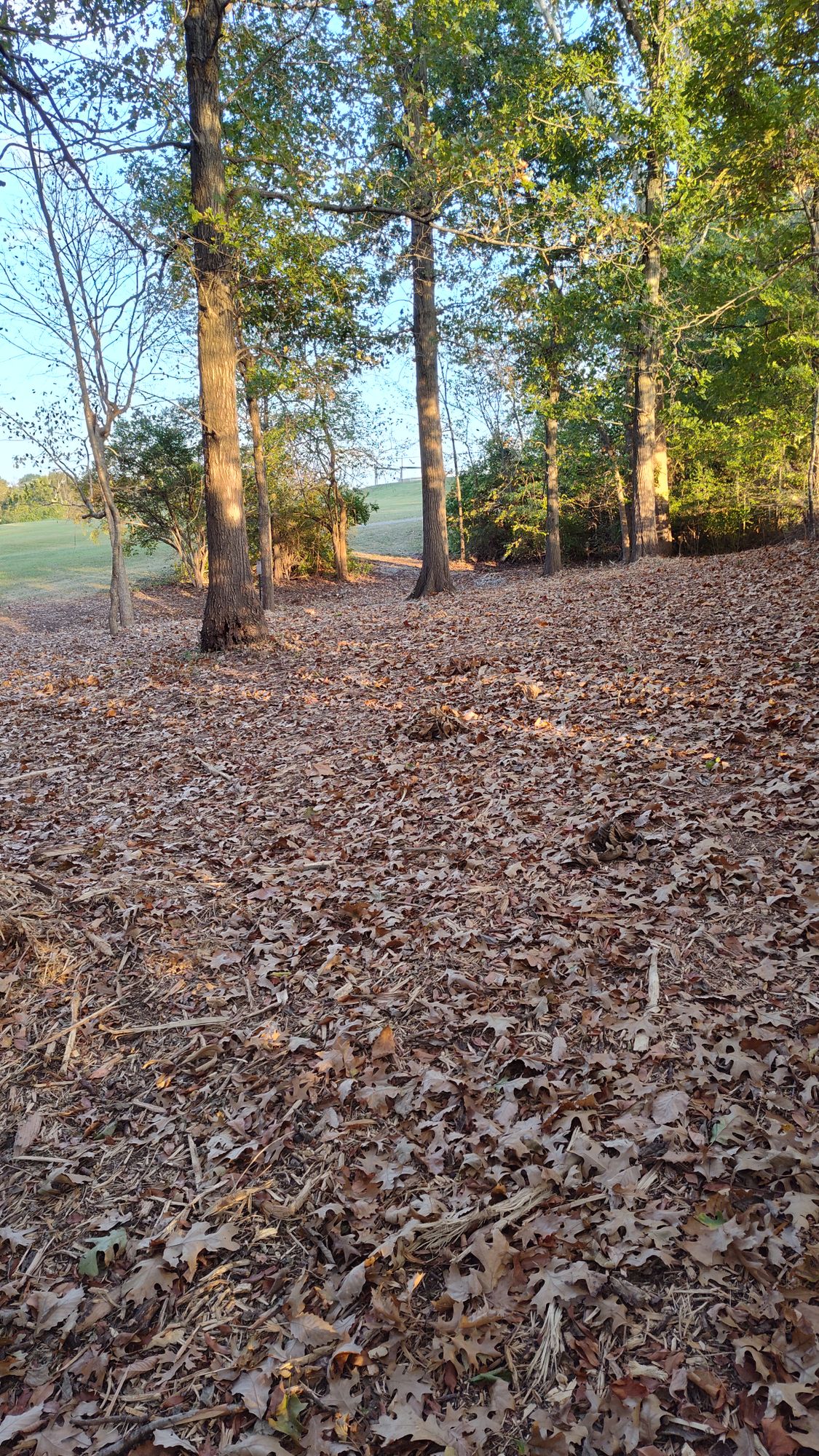 New hole 8?