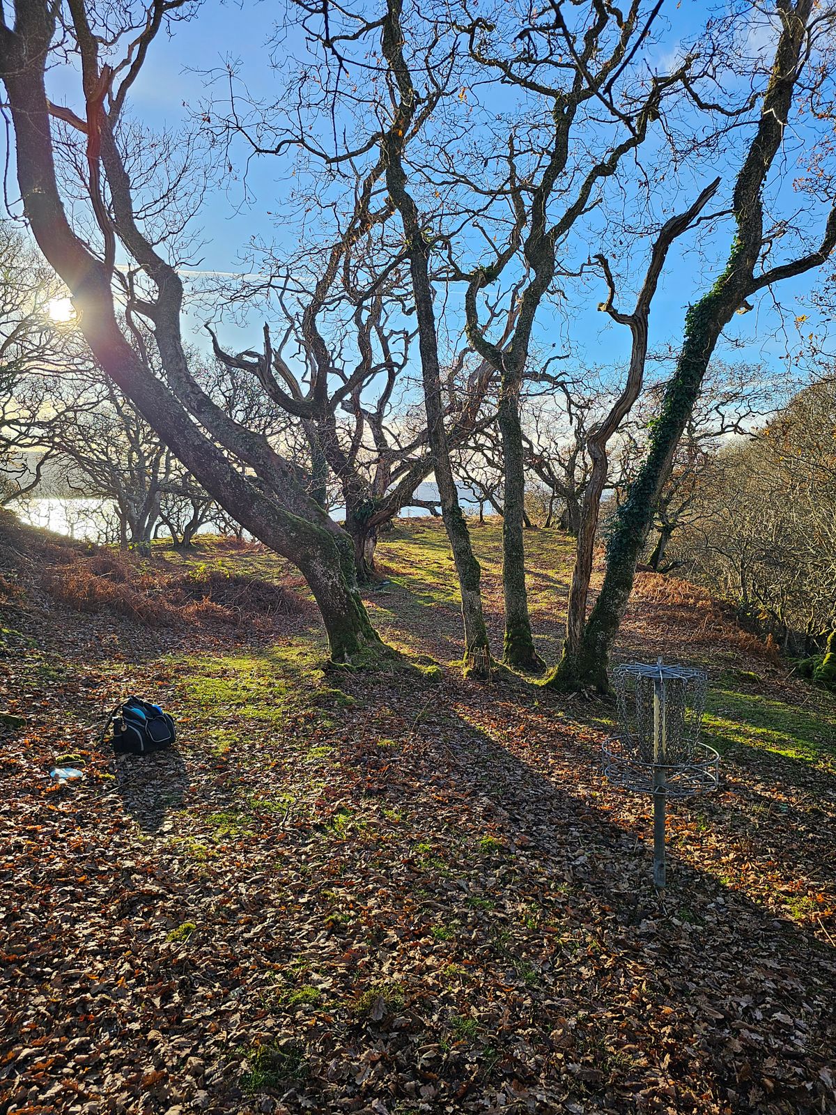 Hole 8 basket