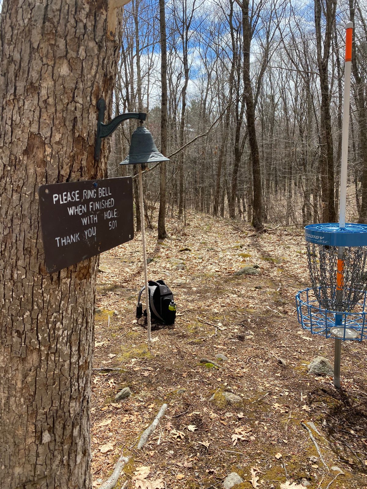 Hole 16 Pin. Ring bell