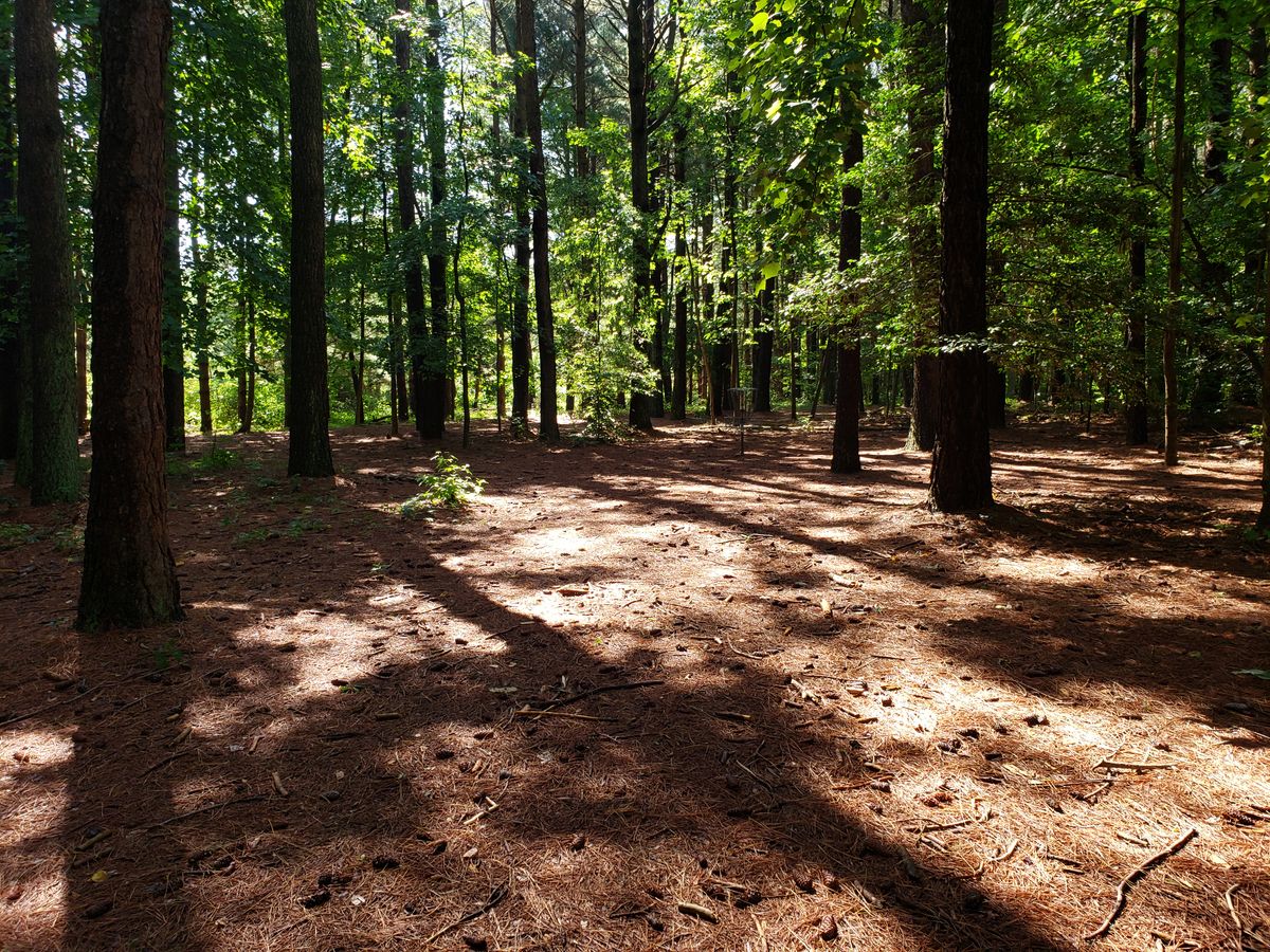 Hole 13 Basket