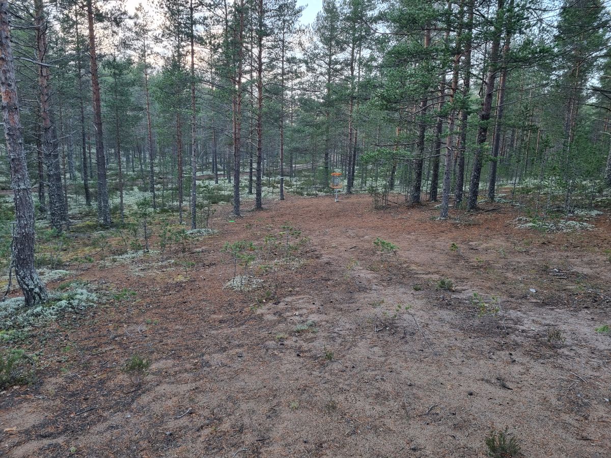 Korinäkymä