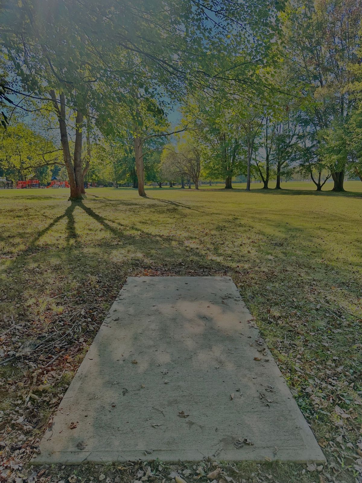 Tee Pad Hole 8