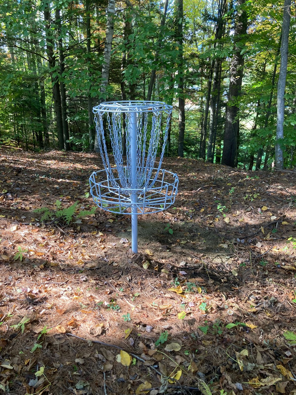 Hole 5 basket