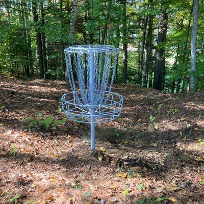 Hole 5 basket