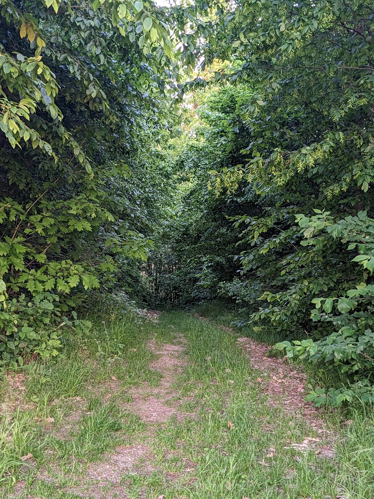 Hole 1