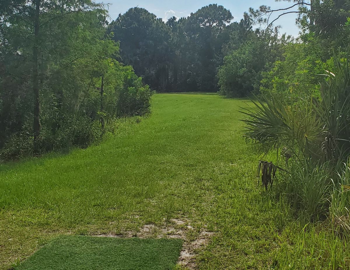 Hole 5