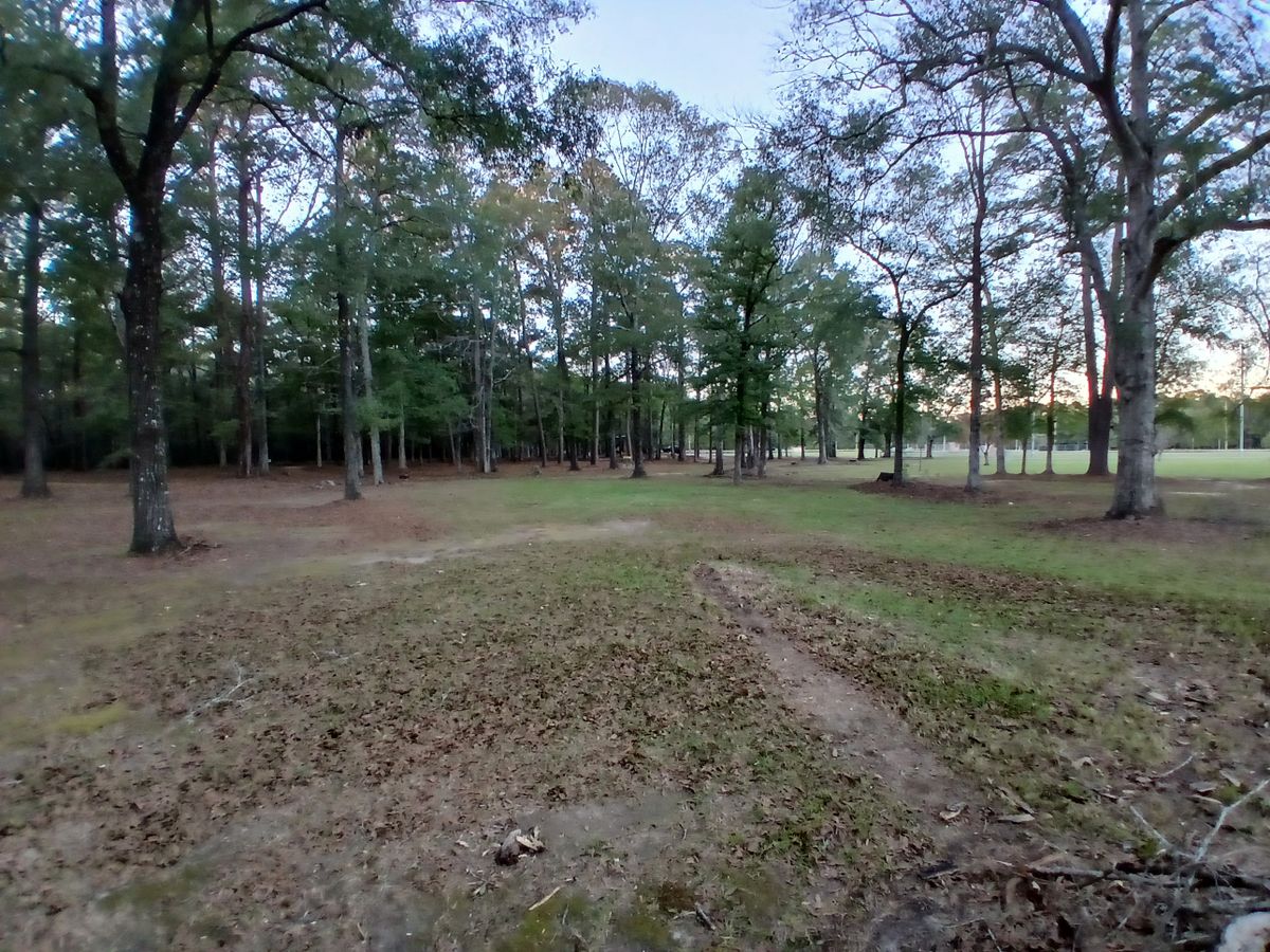 a glimpse of what the front 9 looks like