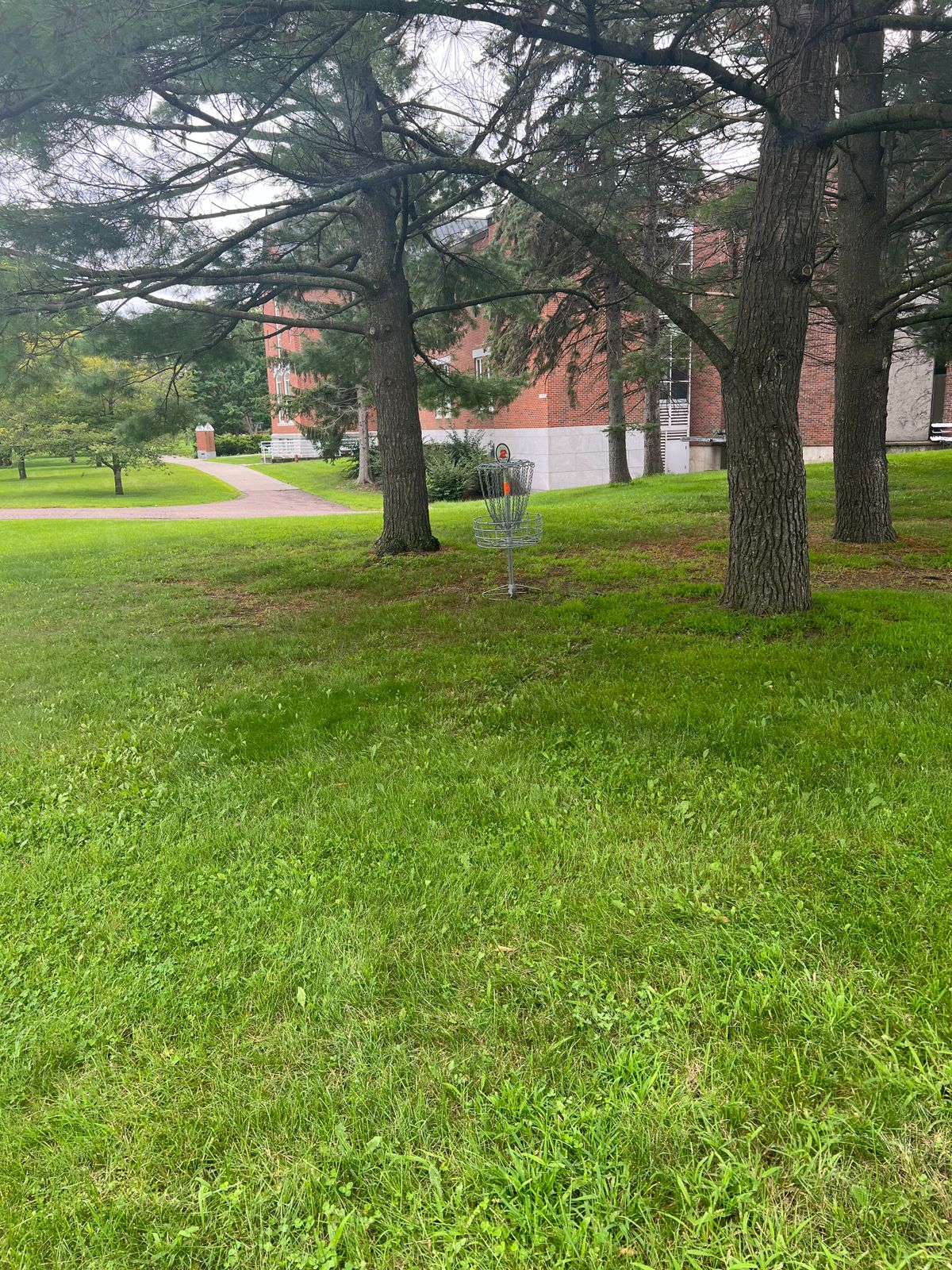 Hole 2 Basket