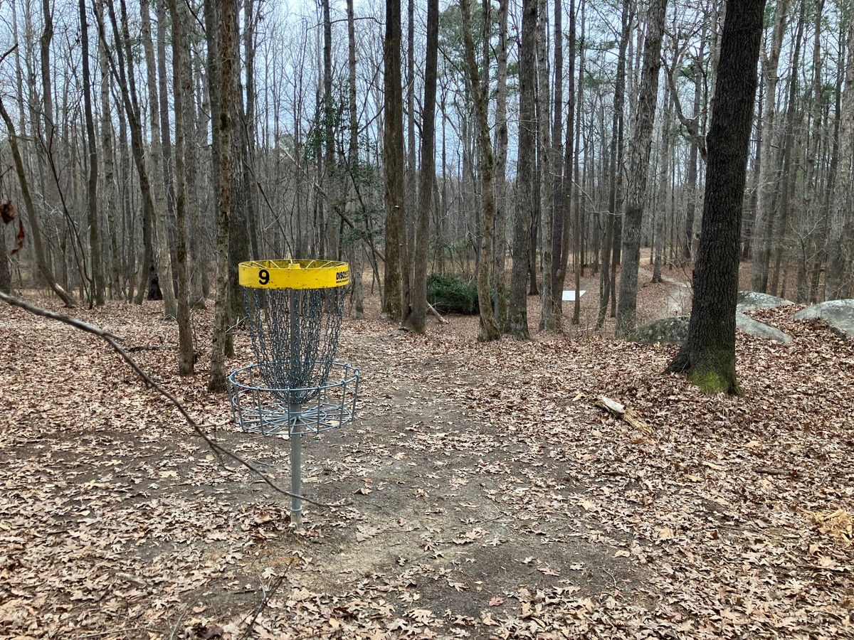 9 with the red tee pad in the background