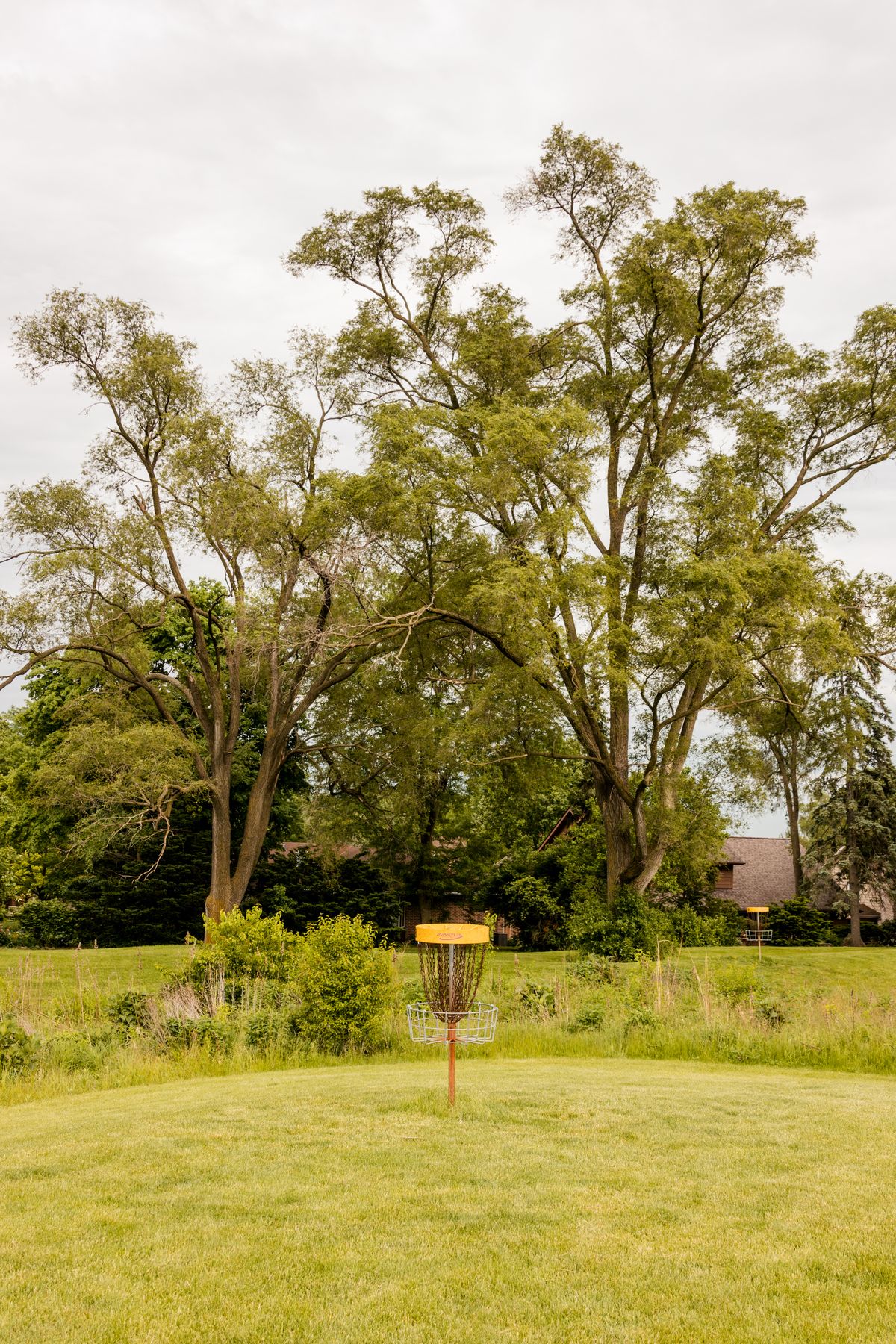 Hole 8
