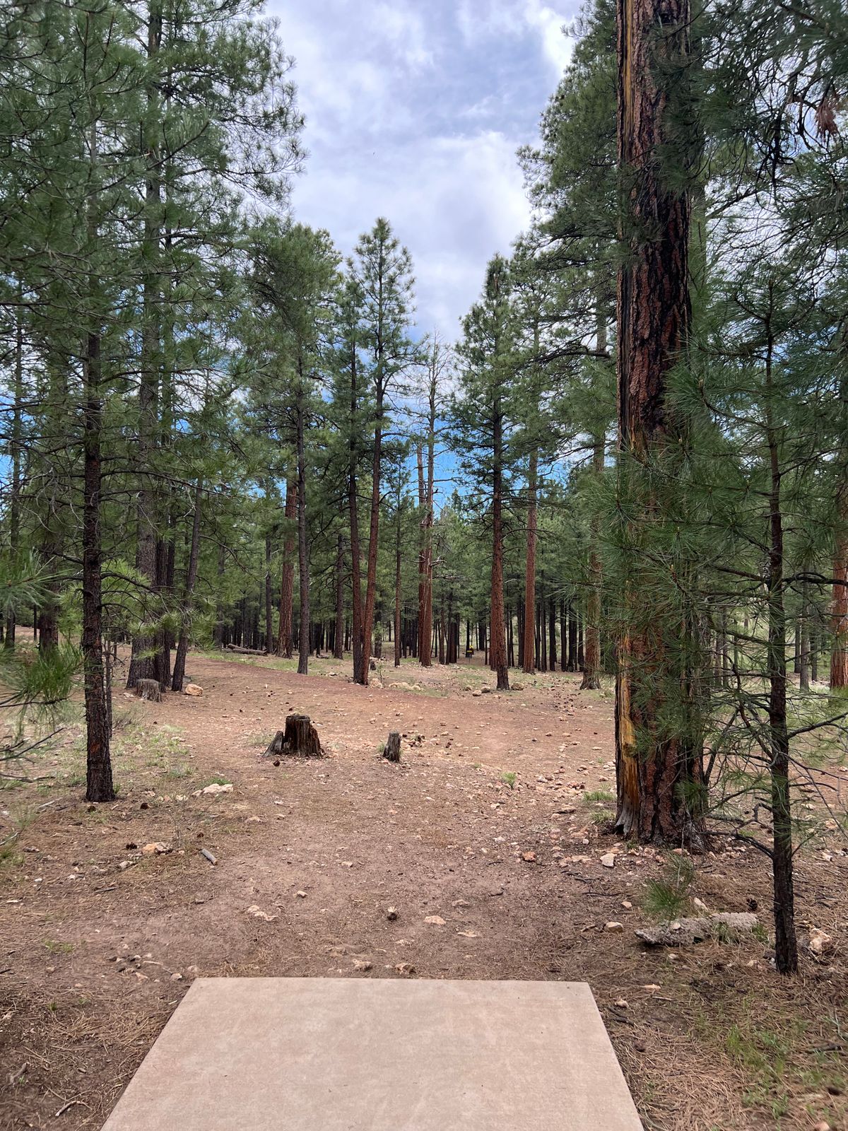 Hole 2. Almost aced this one with a Hex.