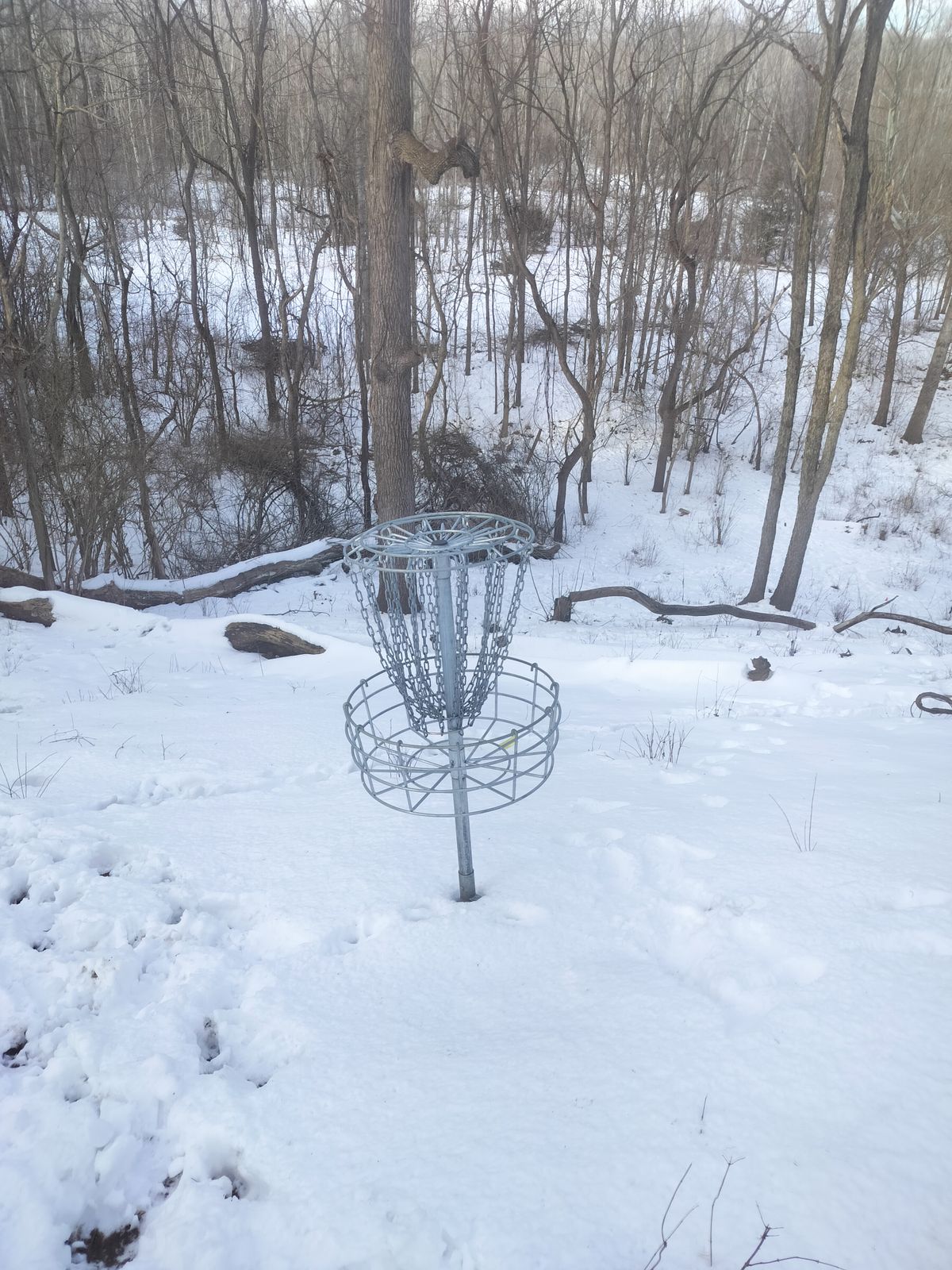 Hole 17 in the snow