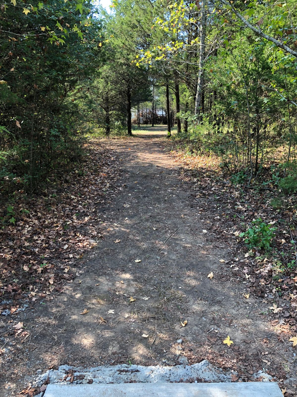Hole 3