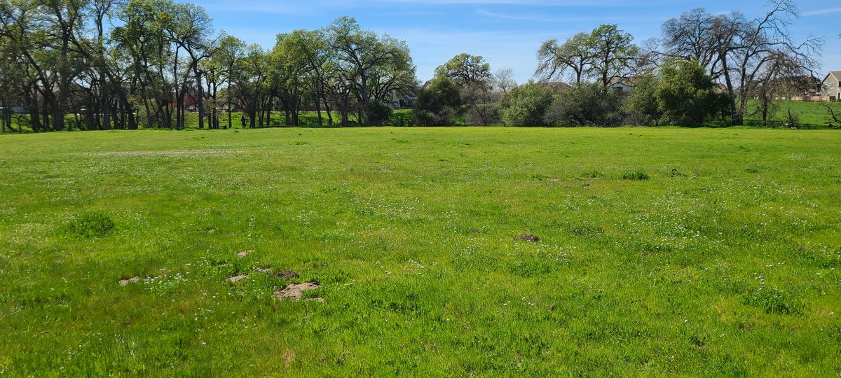Some fairways are wide open