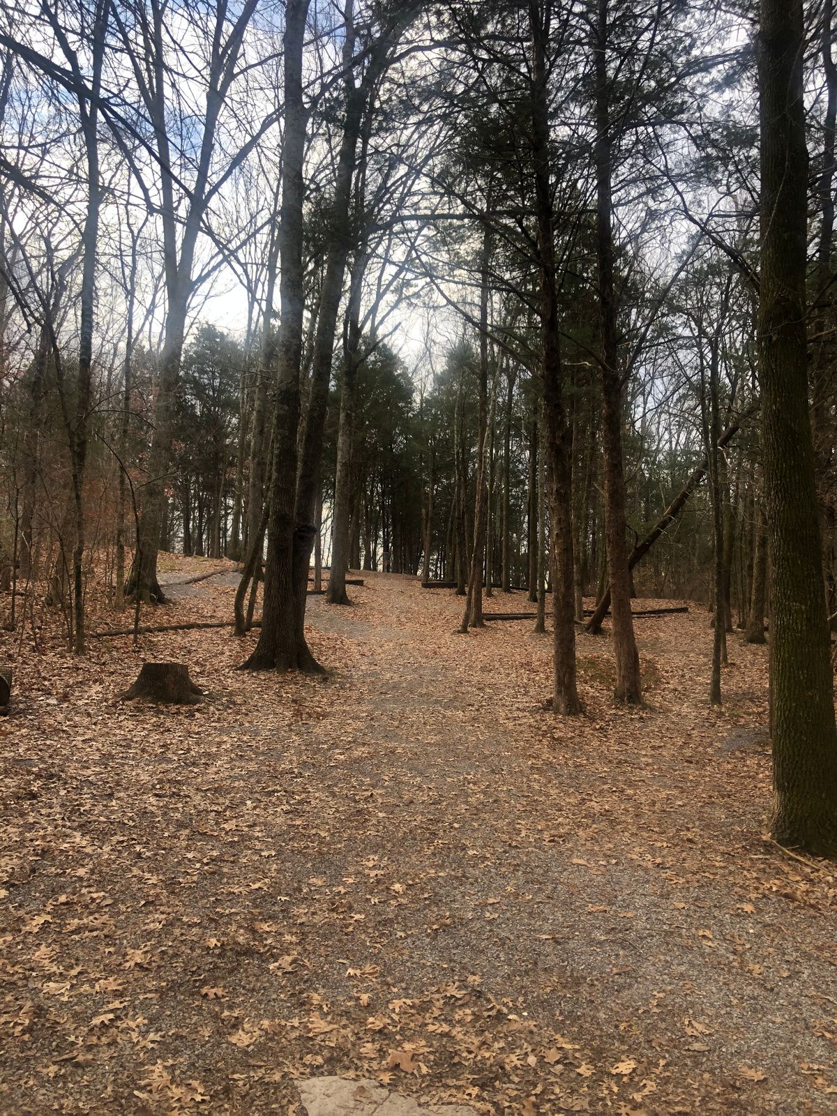 Hole 11