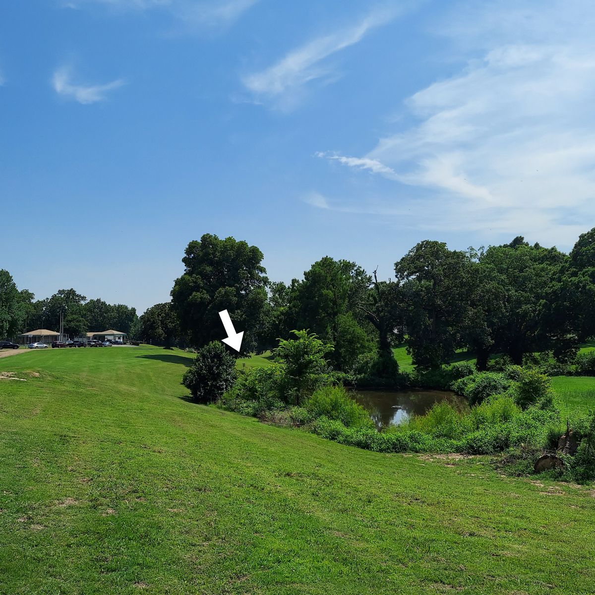 Pond hole 16 from the tee.