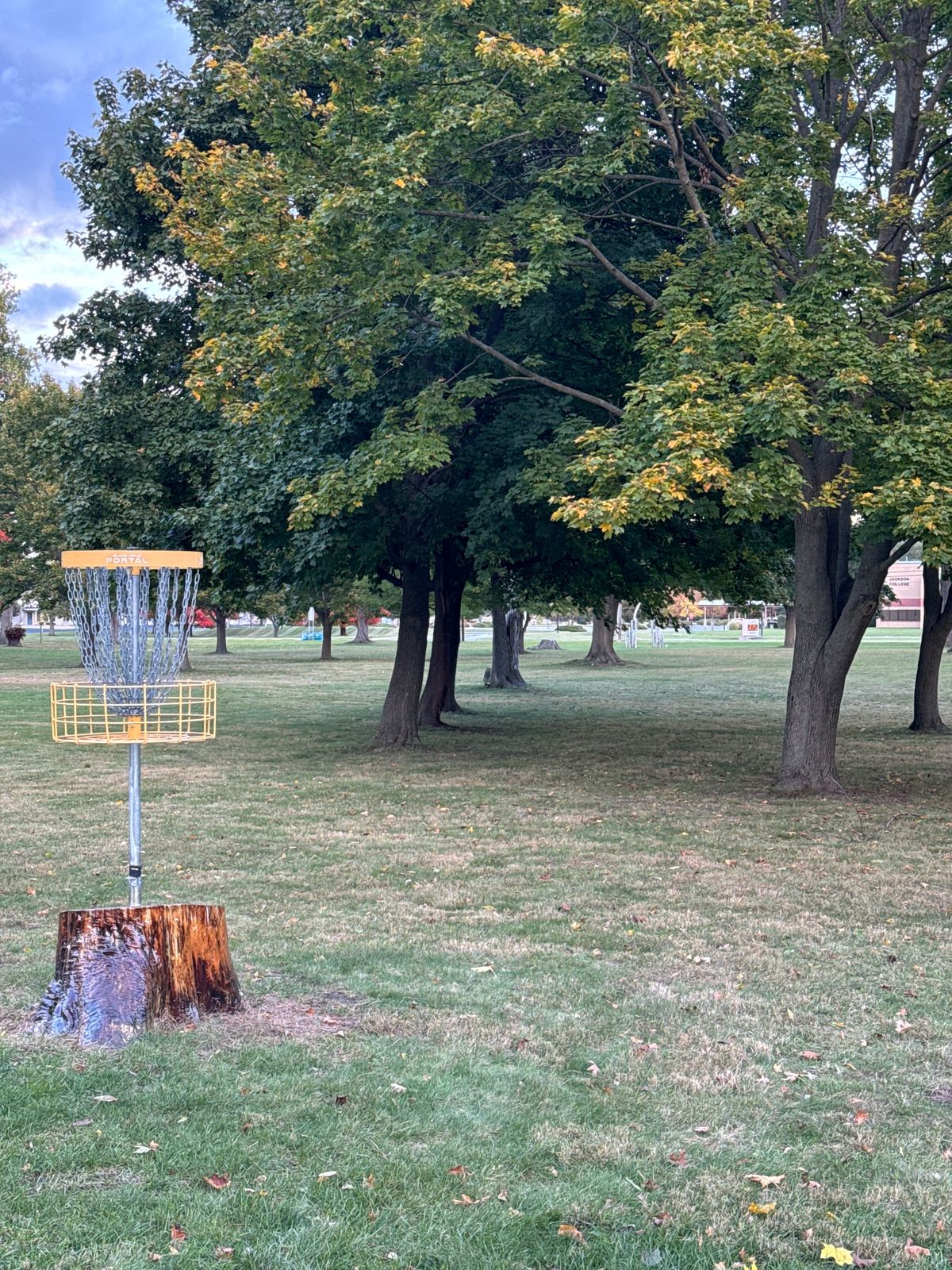 8 Basket (looking down Blue fairway)