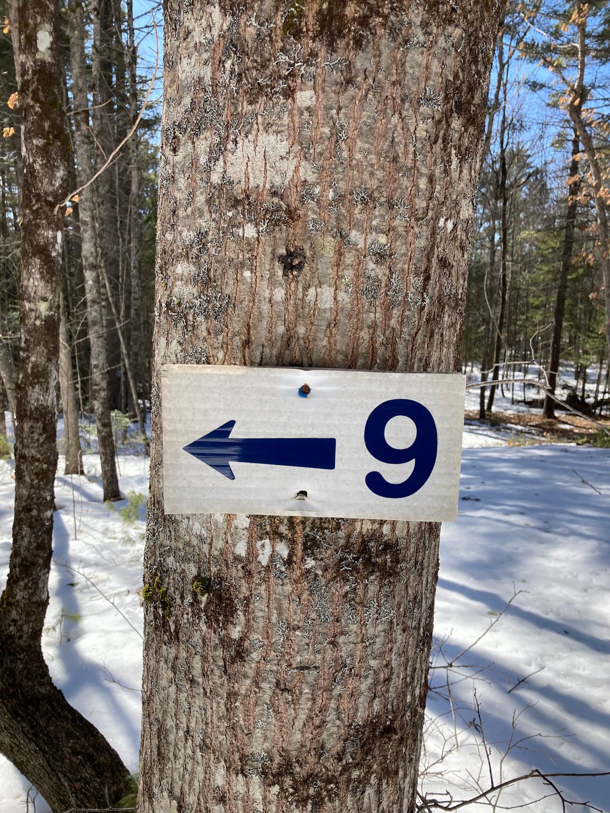Now go this way.