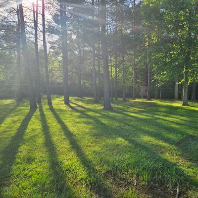 Hole 11 Basket Spring 2024
